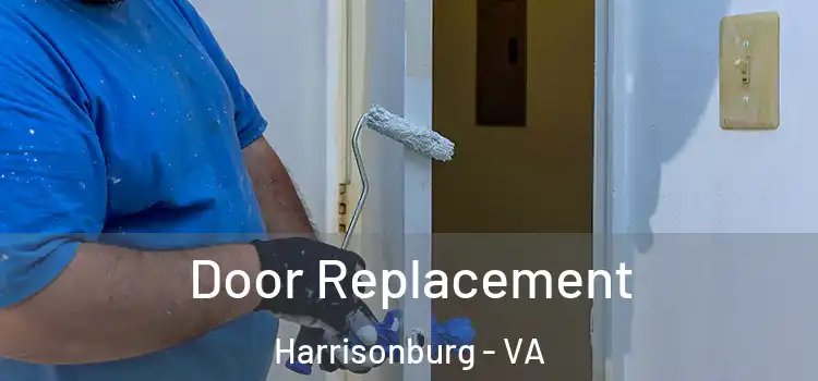 Door Replacement Harrisonburg - VA