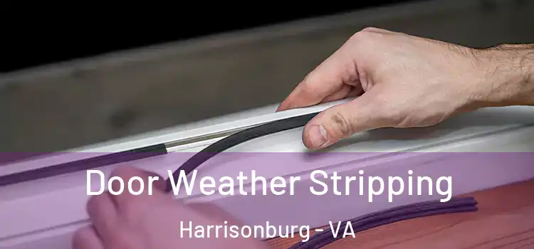 Door Weather Stripping Harrisonburg - VA